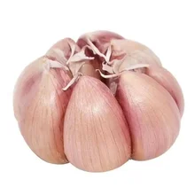 Fresh Garlic 10kg/bag loosely