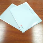 Translucent Plastic A4 Folder Can Be Customized PP File Bag LOGO