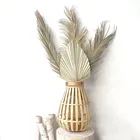 Leaves 2021 INS Hot Selling Real Natural Palm Tree Leaf Dried Flower Dried Palm Leaves For Wedding Decoration