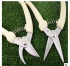 Garden Tools 2021 Professional Garden Pruner Shear Best Garden Shears Made In China Garden Tools