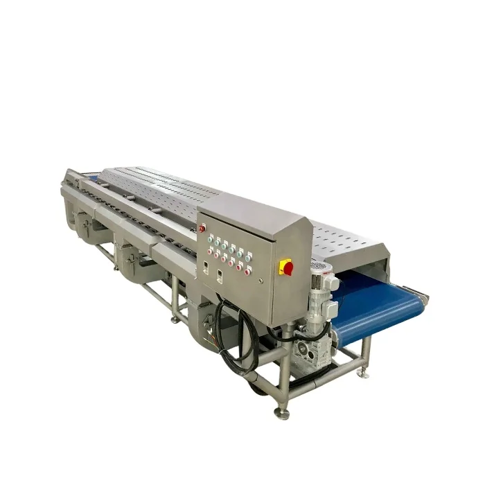 Conveyor Belt Dewatering Systems 