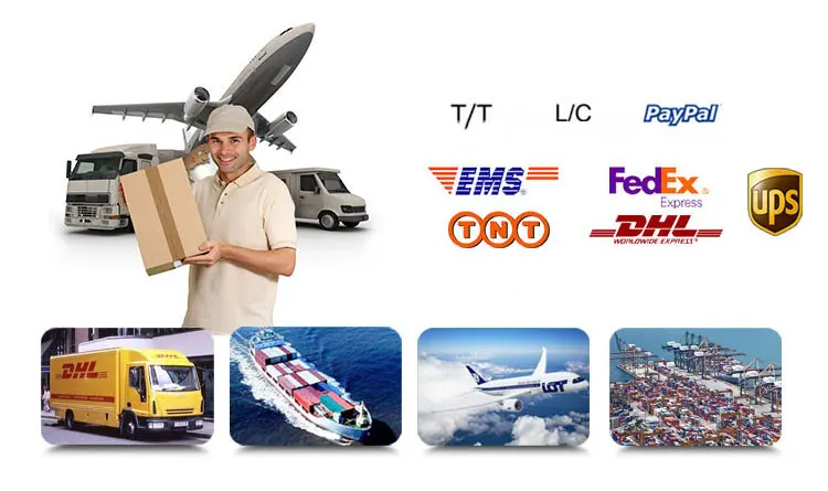 1056 Eggs Fully Automated Incubator Manufacturers Direct Sales