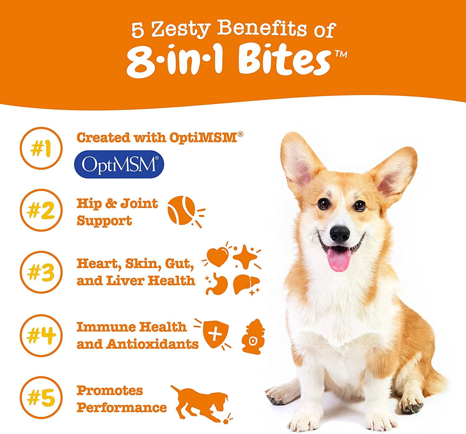  Discover the Benefits of Only Natural Pet Calming Chews for Your Anxious Pets