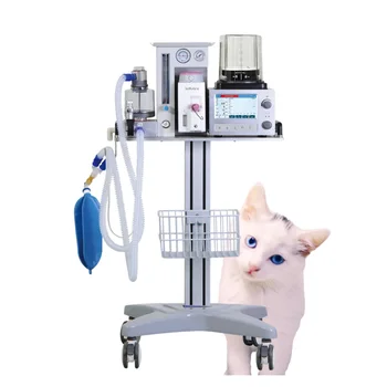 Christmas Promotion Spot Pet Hospital Animal Clinic Veterinary Medical Equipment Supplier Factory Price