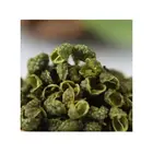 Seeds Pepper High Quality Green Seeds 100% Natural Organic Sichuan Pepper