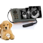 Animals Animal Strip Factory Wholesale Pregnancy Test Animals Animal Pregnancy Trst Strip For Animal