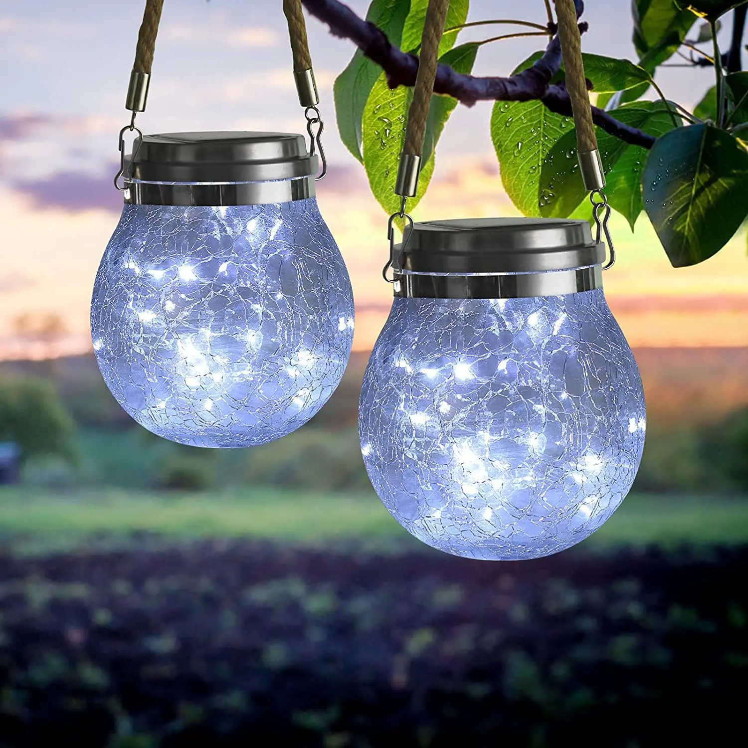 led solar glass bulb lantern