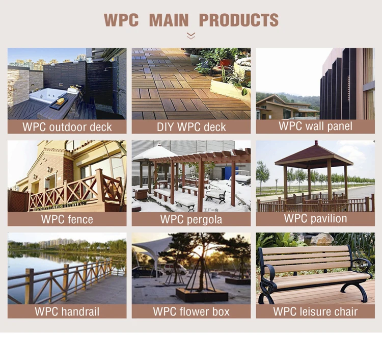 WPC1_11.JPG