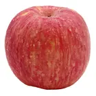 Fuji Apple Apples Apple Fuji Apple Price China Fuji Red Fuji Apples