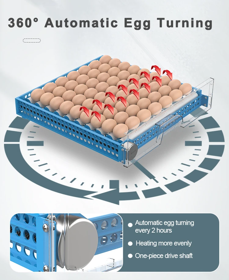 Capacity Eggs Incubator Fan, 64PCS, 110v, PP - detail 14