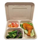 Food Tray Tray Manufacturer 100% Custom Biodegradable Disposable Bagasse 5 Compartments Food Tray With Lid