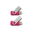 Usb 2GB/4GB/8GB/16GB Cute Usb Flash Drive Usb Stick Usb Flash Drive Custom