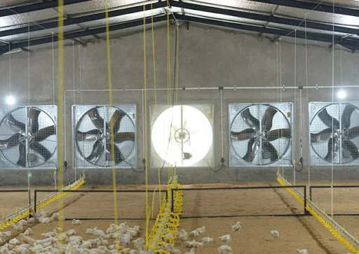 Fan, Wall, 24", 36", 48" - detail 30