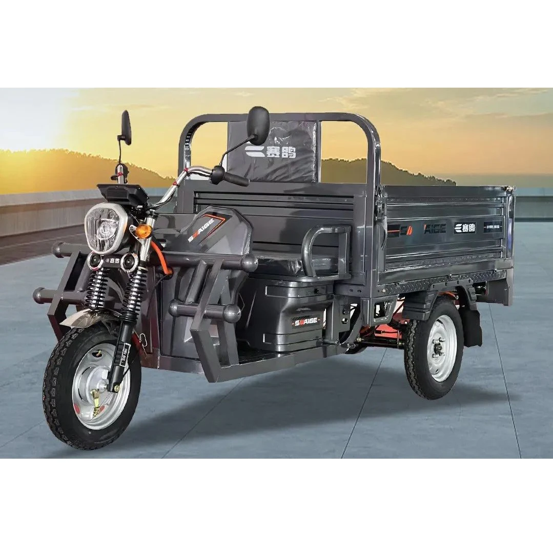 Saige Tricycle 3 Wheeler Trike For Cargo Delivery China Electric