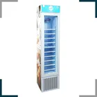 Ice Cream Freezer Display Fridge SD105B 105L Upright Slim Display Commercial Freezer Ice Cream Fridge