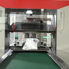 Packing Machine Mask Packing Machine In Stock Kn95 N95 Medical Face Mask Packing Machine