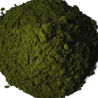 Powder Dye Rhodamine B Basic Violet 10 Price High Quality Powder Basic Rhodamine Dye
