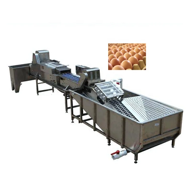 commercial egg washer for sale