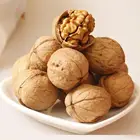 Nuts With Bulk Packing Walnut Nuts With Shell