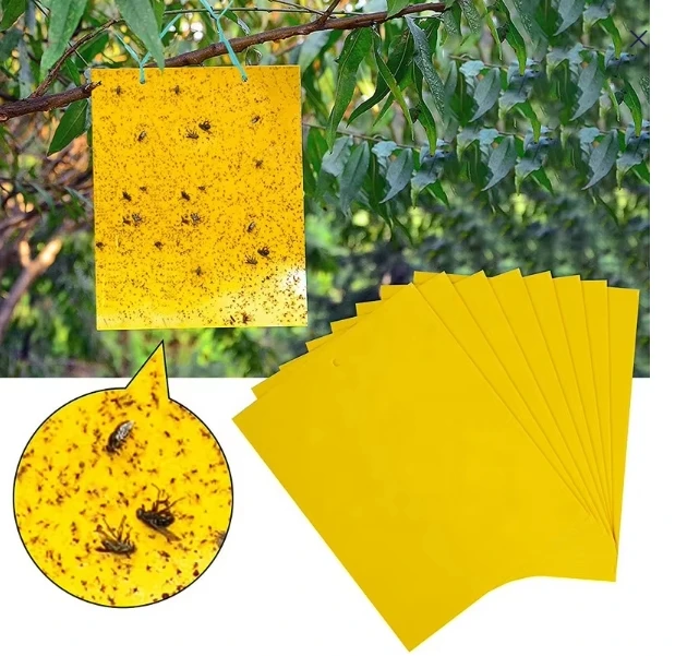 Customized double-sided yellow sticky insect board with strong adhesion to capture pests, outdoor small flying insect trap