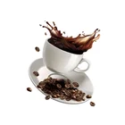 Coffee Spot Fat Burning Natural Healthy Slimming Coffee For Quick Weight Loss