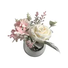 Garden Decoration Hot Sale New Garden Pot Flowers For Indoor Decoration