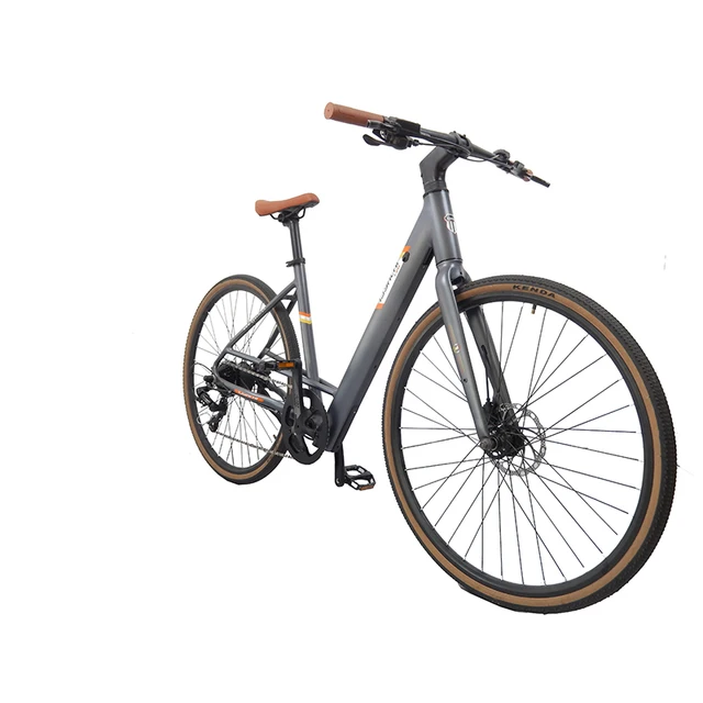 Factory Direct Sales FRIKE 1000W Ebike 48V Electric Bicycle for Adults Smart Bluetooth Electronic Bike