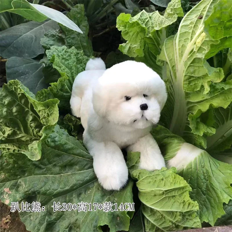 life size bichon stuffed animal