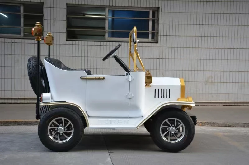 New Style 2 Seater Electric Golf Buggy Kids Golf Cart