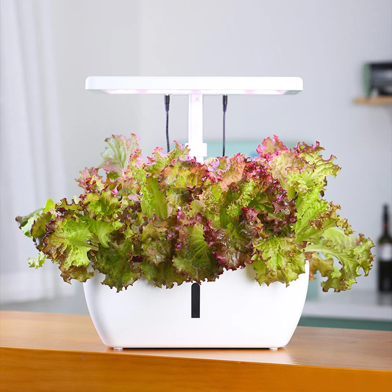 OEM Customized Indoor Herb 2023 Smart Garden Flower Planter, Smart Led Planter,  Growth Hydroponic Planter