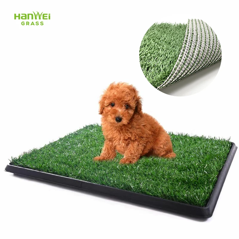 puppy grass pad