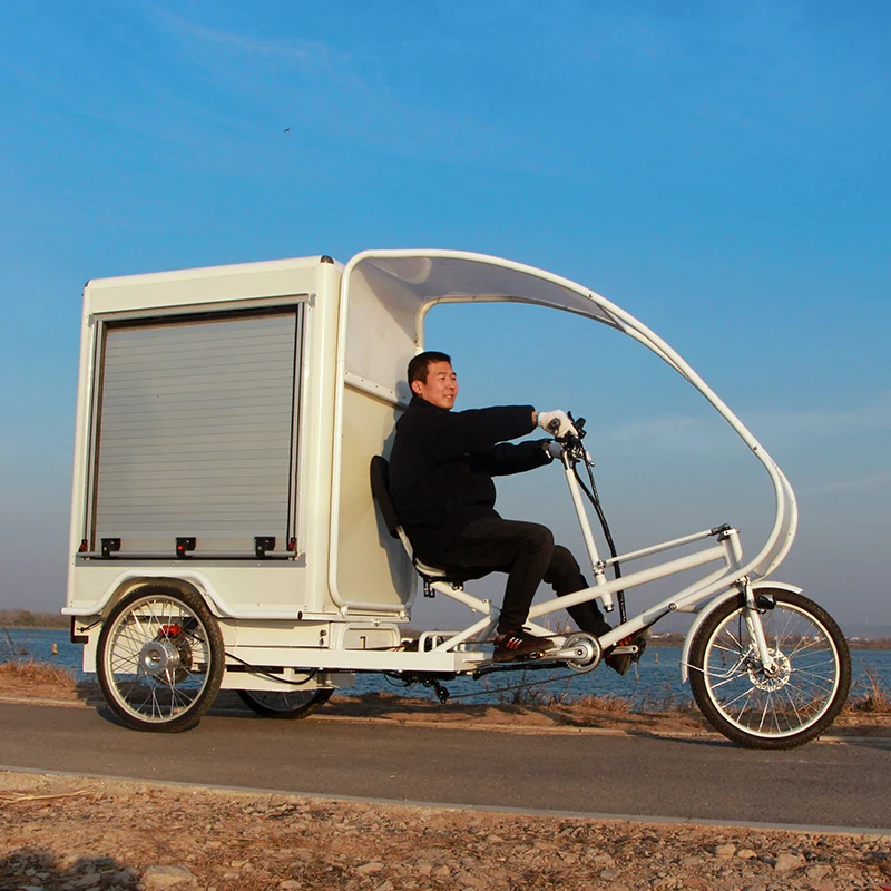 tricycle delivery bike