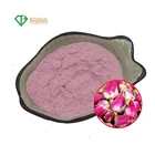 Healthcare Supplement Water Soluble Organic Rose Leaf Extract Powder Rose Petal Powder Rose Powder