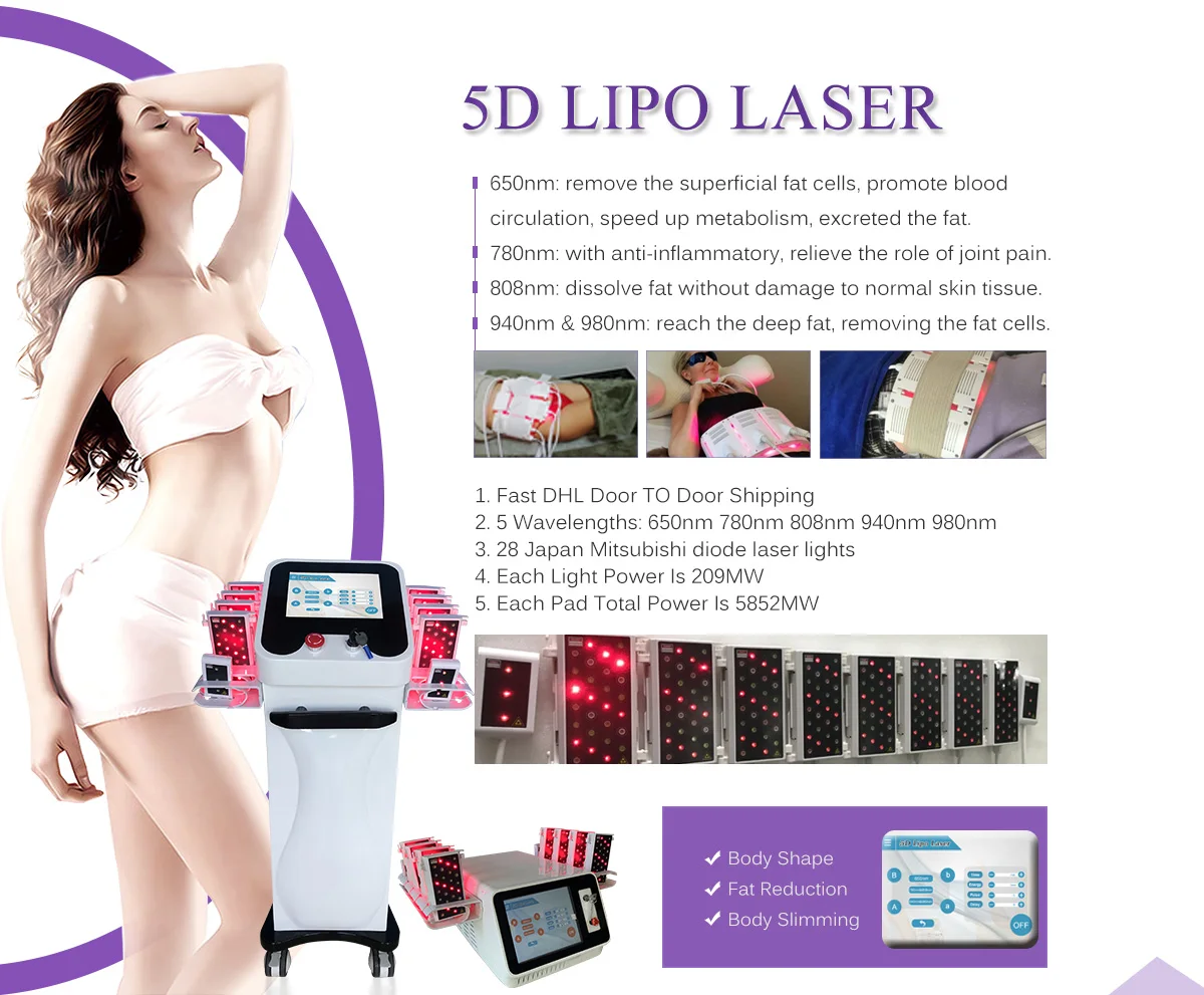 5DLIPO- (1).jpg