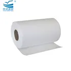 Hepa Pleated Filter Hepa Filter Manufacture HEPA Pleated Filter Paper HEPA Fabric Roll