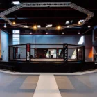 Boxing Ring High Quality Factory Custom Design Wholesale Martial Arts MMA Octagon Competition Cage