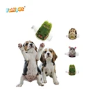 Pet Cute Play Funny Animal Interactive Plush Dog Chew Pet Toy With Plastic Bottle