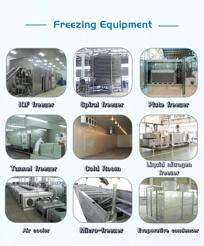 Spiral Freezer, 220 V - detail 22