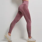 Women Dropship Fitness Leggings Aola High Waist Seamless Fitness Mesh Leggings