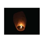 Hand Lanterns Hand Crafted Authentic Chinese Flying Lanterns