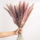 Wedding Reed Grass Customized 15pcs/bag Amazon Hot Sale Popular Wedding Party Home Decoration Natural Dried Pampas Grass