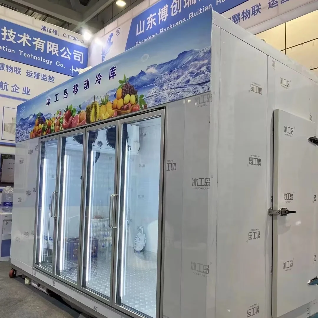 Cold Room Storage, 20Ft, 220, R22 - detail 10