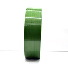 Green Line Strapping Factory Green Pet Straps Scrap Pet Chest Strap 2 Cavity Extrusion Line