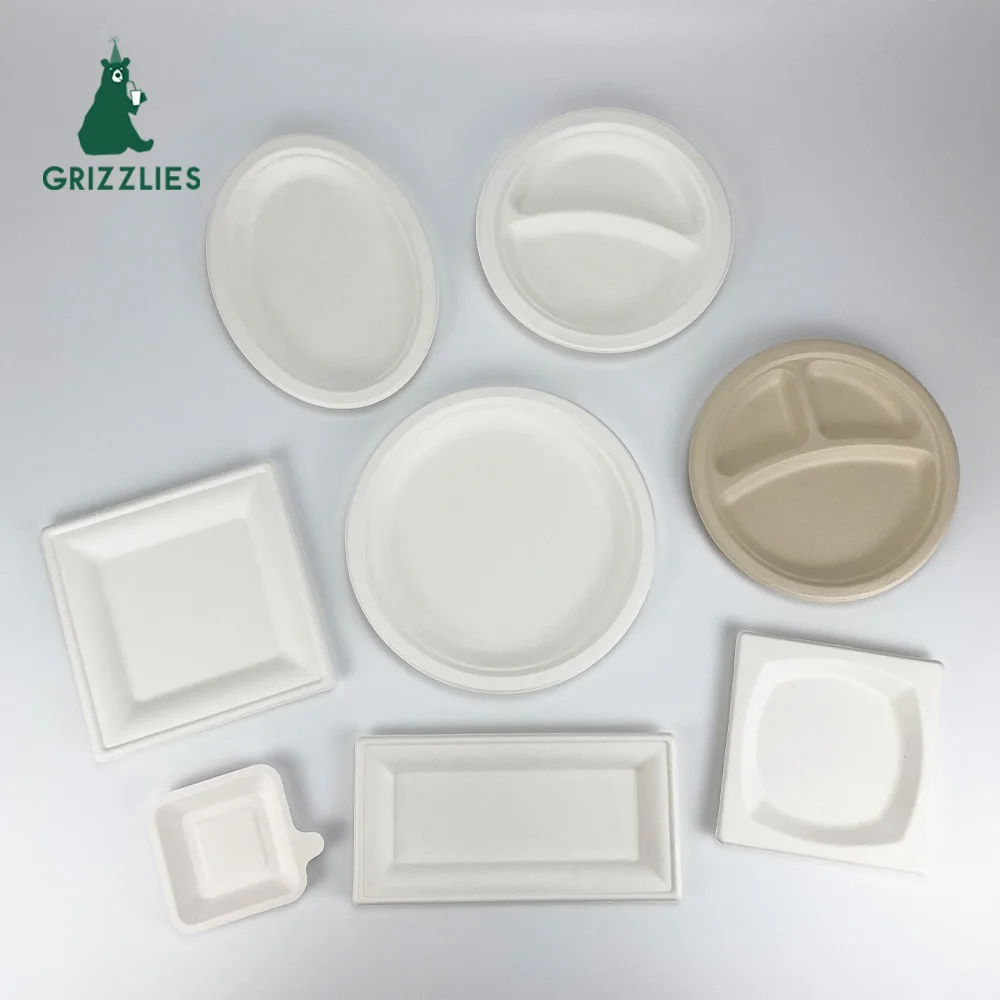 Round Bowls Sugarcane Oval Oblong Plates Square Biodegradable Bagasse White 