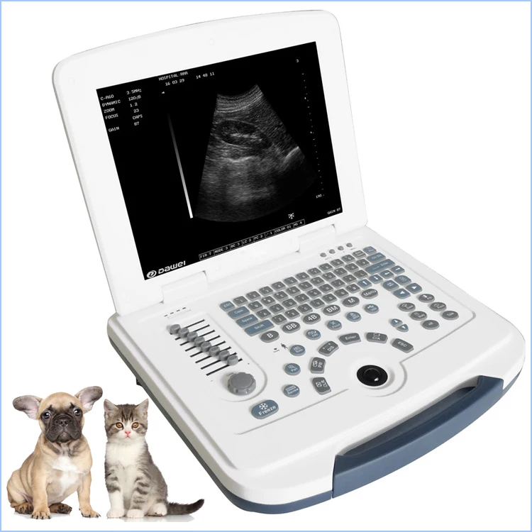 how much does it cost for an ultrasound on a dog