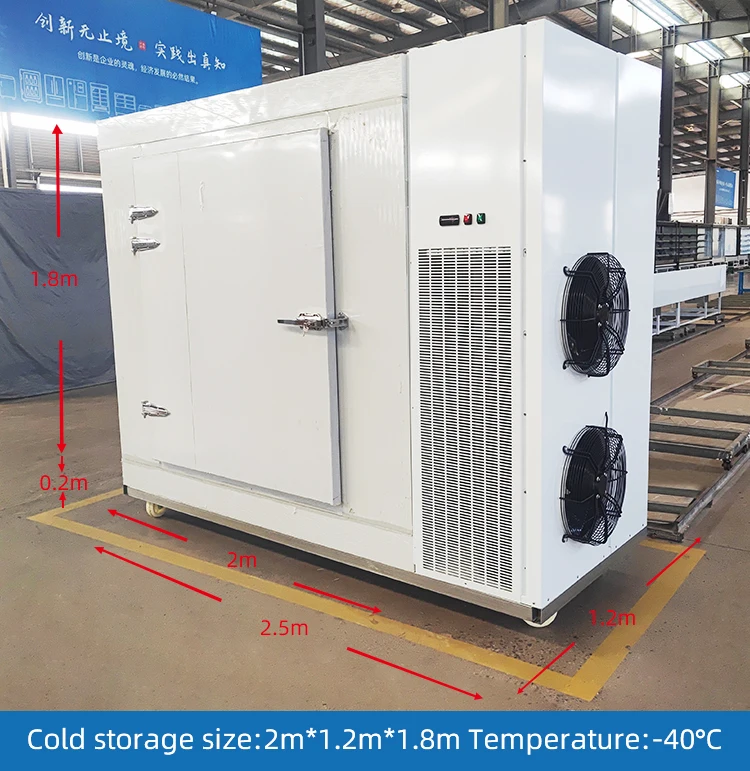 Blast Freezer, 220, 3.5 KW - detail 8