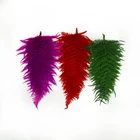 Plant Fashion Decor Wedding Eternal Life Family Decorative Dry Small Plant Decoration Flower Dyr Plant