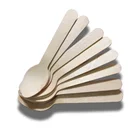 Ice Environmental Ice Cream Spoon Wooden Spoon Small Size Spoon Ice Mixing Tools