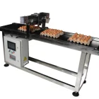 Tray Egg Coding Conveyor YG-SP05-Z02-F Tray Egg Coding Traverse Conveyor