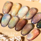 Laser Rainbow Cat Eye Gel Polish Holographic Magnetic Gel Nail Polish 9D Cat's Eye Gel